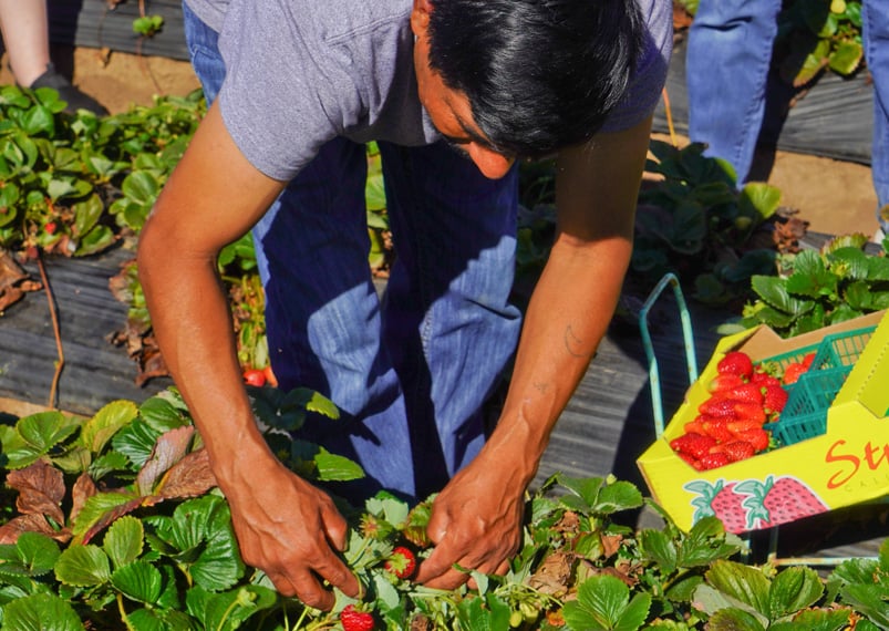 Center for Farmworker Families