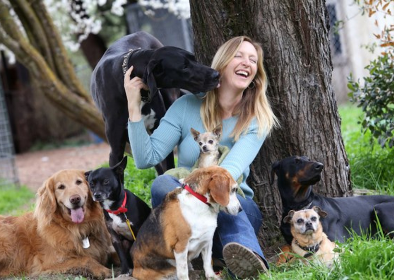 Dogwood Animal Rescue