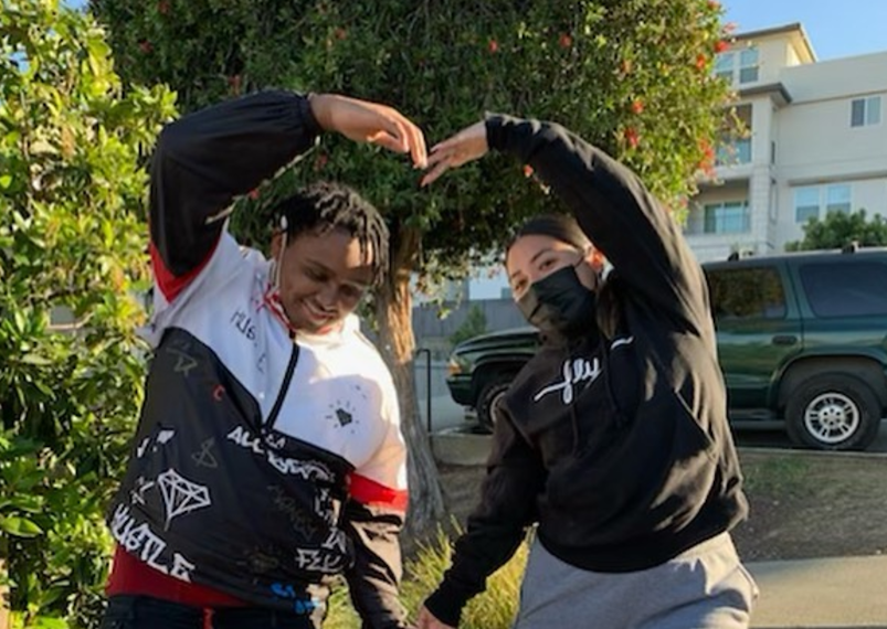 Fresh Lifelines for Youth (FLY)