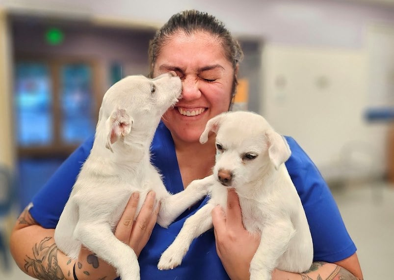 Santa Cruz Animal Shelter Foundation